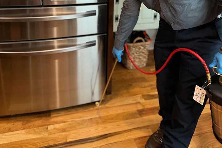 Preventive & Maintenance Services